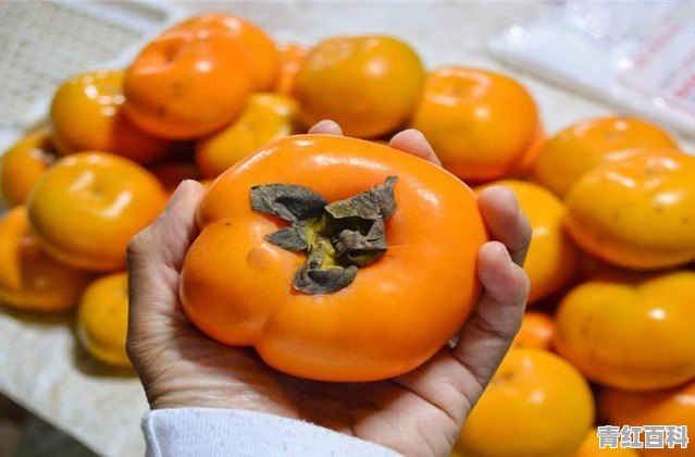 青州饭店推荐