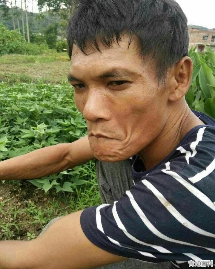 有什么搞笑的铃声，或者适合做手机铃声的歌曲