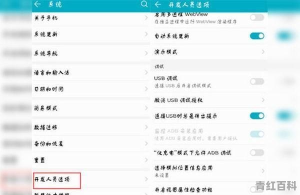 手机的开发者选项在哪