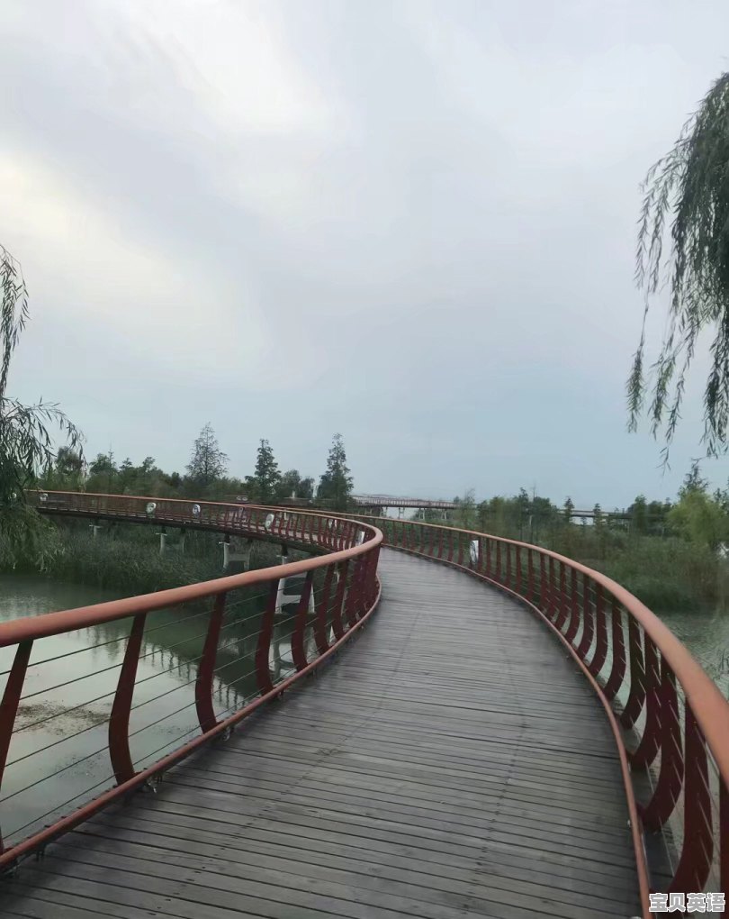 小学英语教学音频免费下载 - 宝贝英语