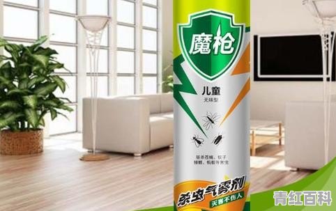 家里有臭虫怎么办3招教你解决