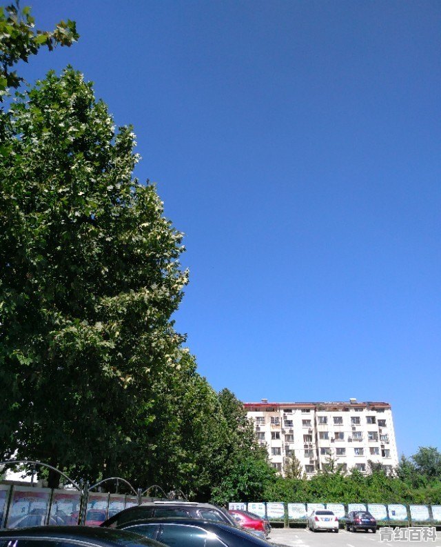 成都东客站附近成渝立交的万科魅力之城片区的住房怎么样