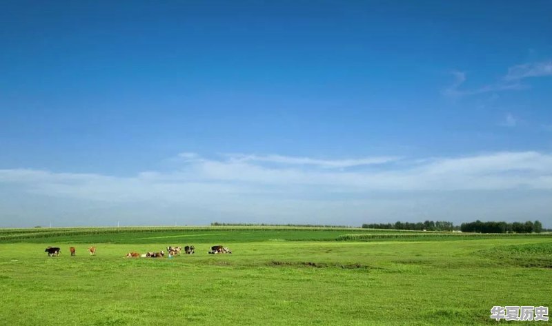 关于想象力中国古代谚语 - 华夏历史