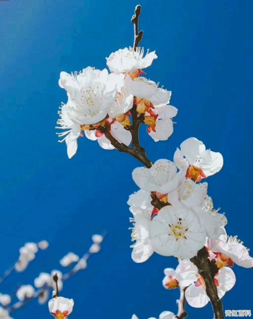 二月旅游去哪里好