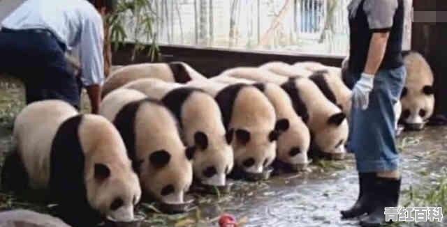宽窄巷子必吃美食攻略