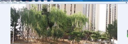 电脑自定义桌面布局