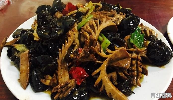 长春吾悦广场美食推荐餐厅有哪些品牌