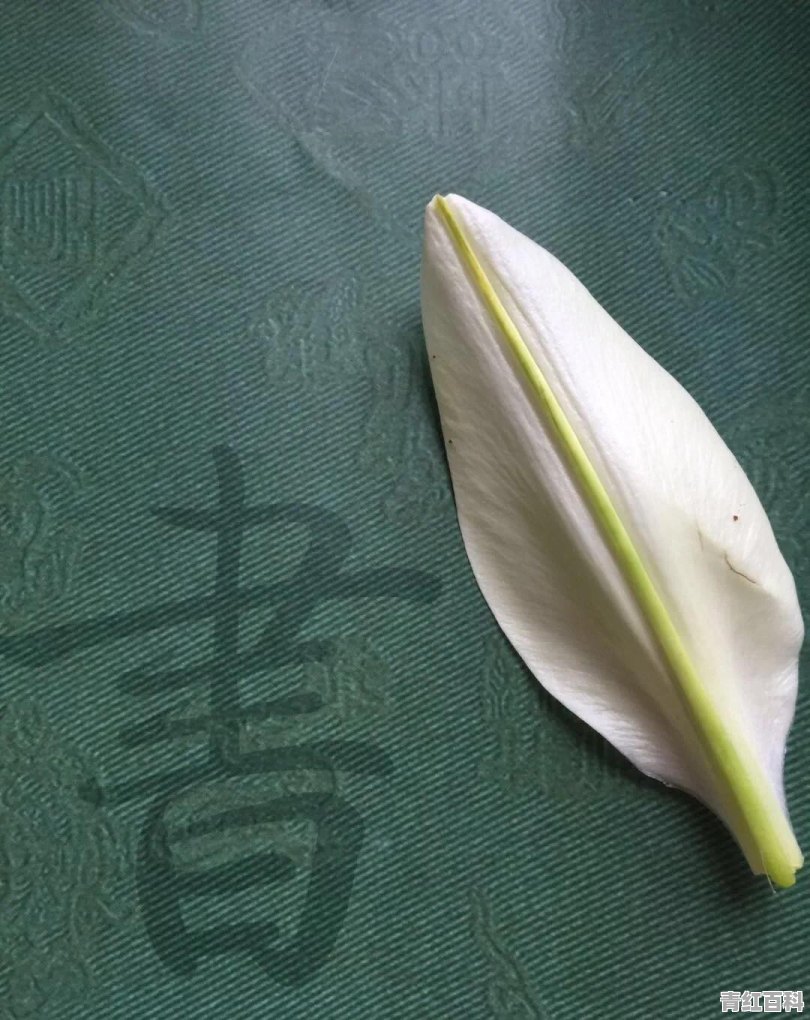 字丑该怎么办