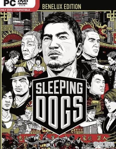 双人同屏单机游戏