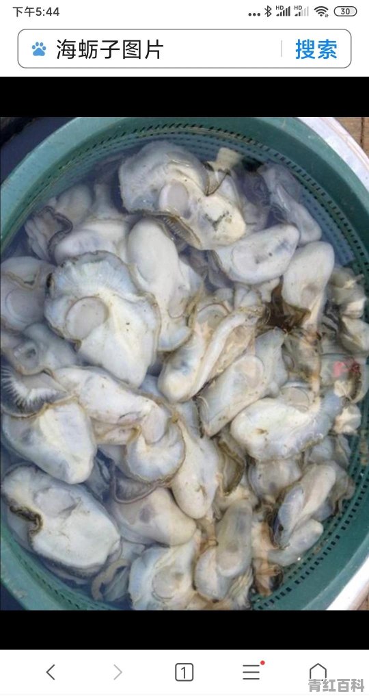 大连五一广场附近美食推荐店有哪些地方呢