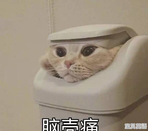 高考英语听力祝贺语