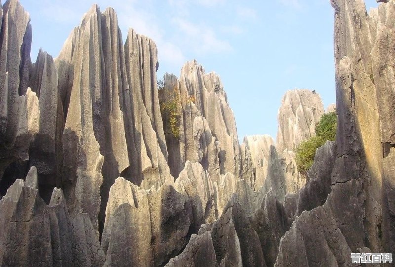 你到过云南吗，怎么样？丽江与西双版纳哪个地方风景好