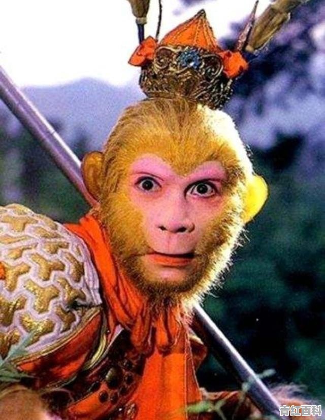 不是自驾游，从大连去丹东凤凰山，一天时间可以赶回来吗