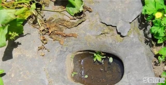 历史文化步道在南海公园哪个位置