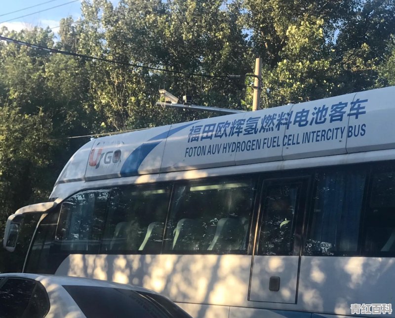 世界新能源汽车销量排行榜