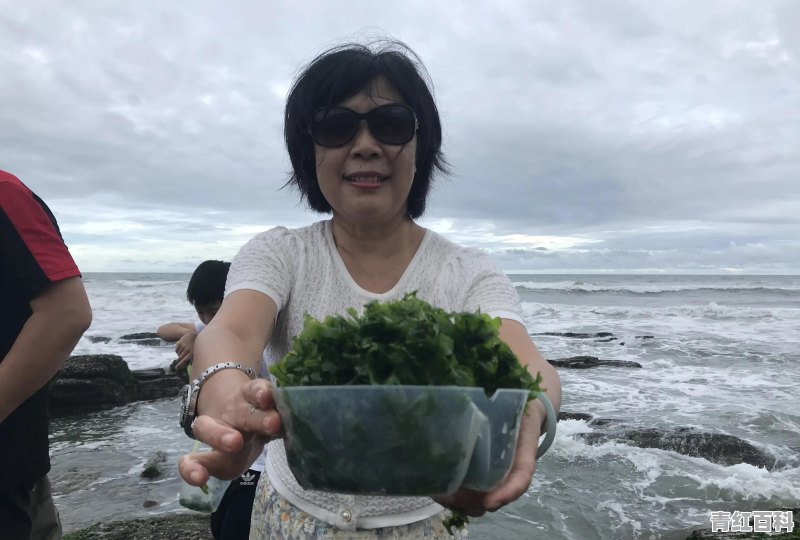 双月湾美食推荐店有哪些店