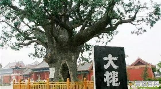 洪洞旅游景点大全排名