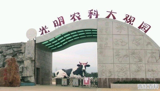 深圳宝安区旅游景点排名前十