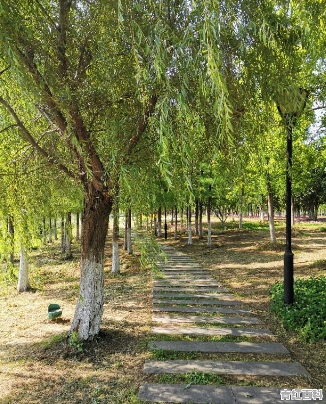 红莲湖旅游度假区管委会