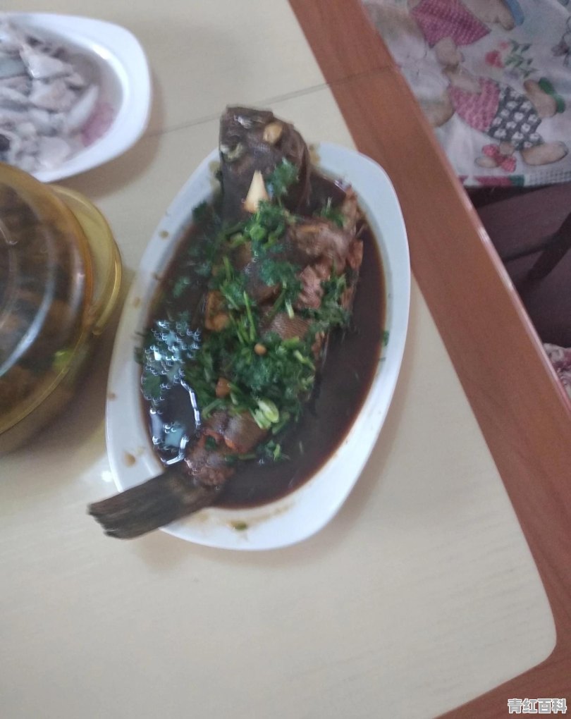大连美食推荐特色菜是什么菜啊