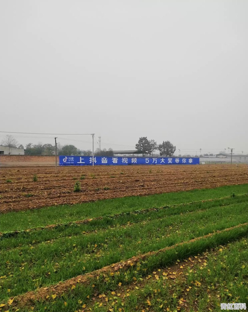 陇西火锅哪里的最好吃