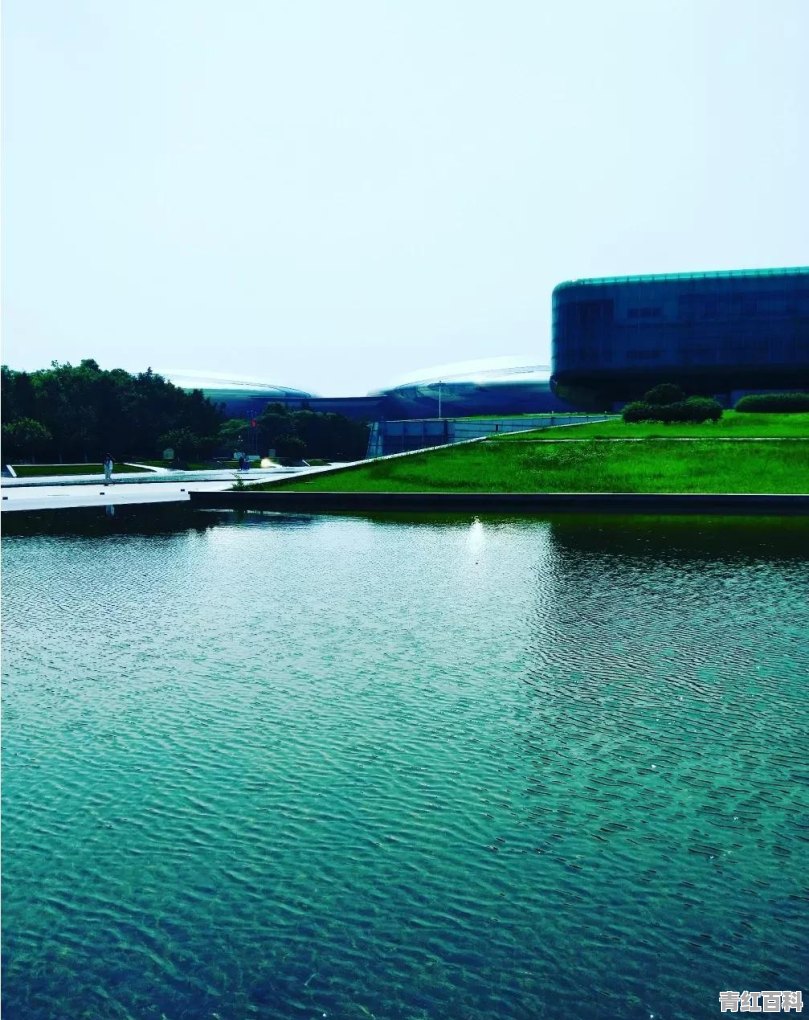 组团旅游的好处英语作文