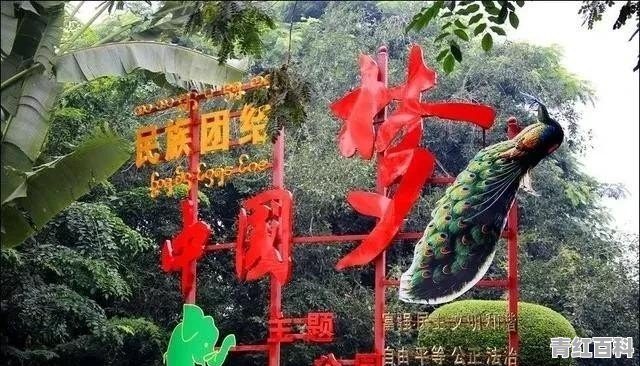 西双版纳糯米饭哪家好吃
