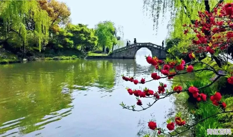 扬州和南京比，哪个更值得去旅游