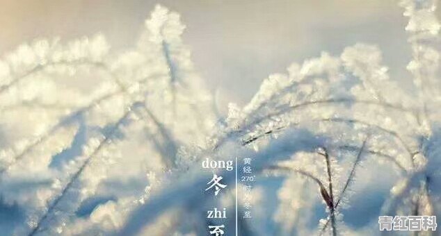 脚总是抽筋怎么办吃什么药