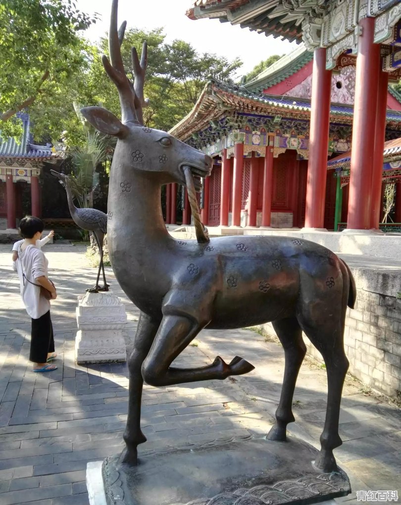 北京西单大悦城每天早上几点开始营业