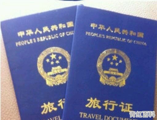 旅行证可以入境吗