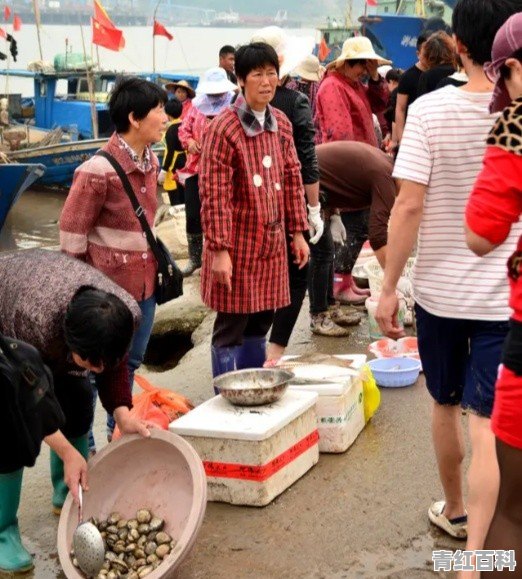 旅游海鲜便宜的地方