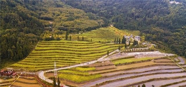 郫都区美食推荐自助餐厅有哪些品牌的店铺