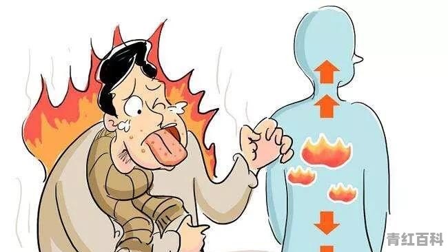 肝火旺盛时，如何用枸杞进行调理
