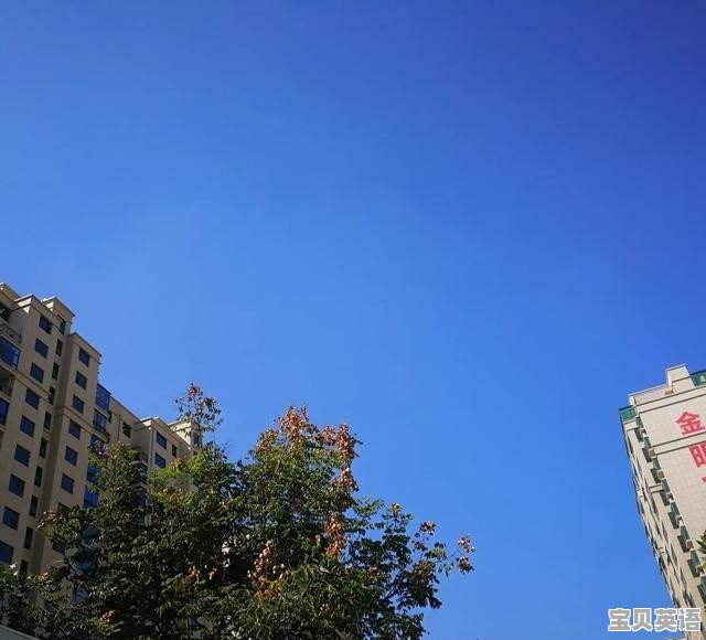浙江英语四级考试分数占比多少 - 宝贝英语