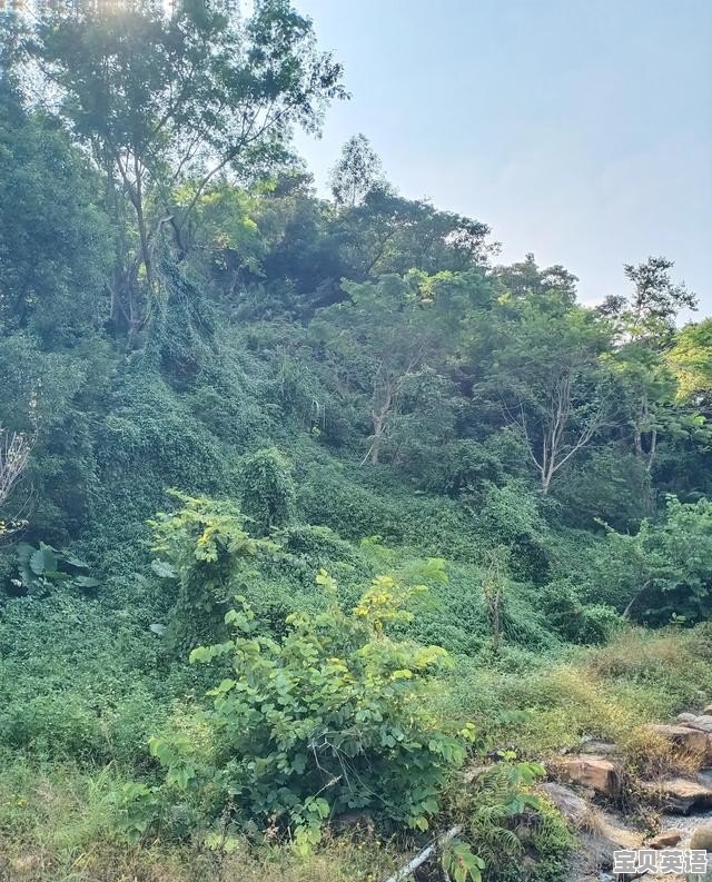 英语听力与写作有什么联系?它们相互间有什么影响 - 宝贝英语