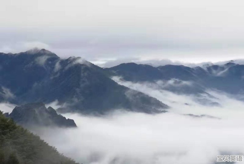 学生参加夏令营，需要注意哪些问题 - 宝贝英语