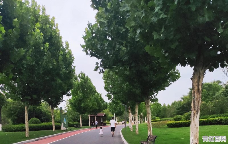九个月的宝宝发烧39.7度，现在吃退烧药也不管用去医院检查也没事，后来找个中医用针扎退到38.7度现在又到39度了这是怎么回事