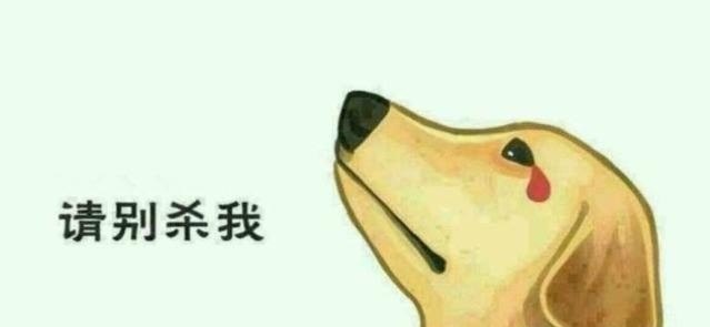 肚子一直很撑很胀，我使用哪种药治疗比较好