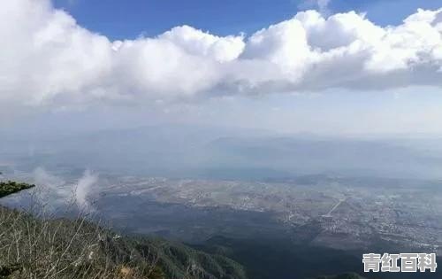 旅游与保险融合的案例分析