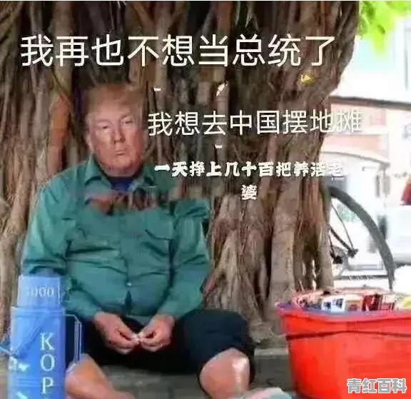 目前去美国旅游最好的旅行社