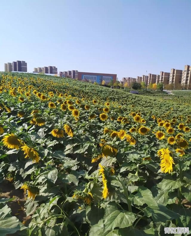 两天能去哪旅游自驾游