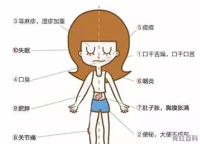 湿气重容易长痘
