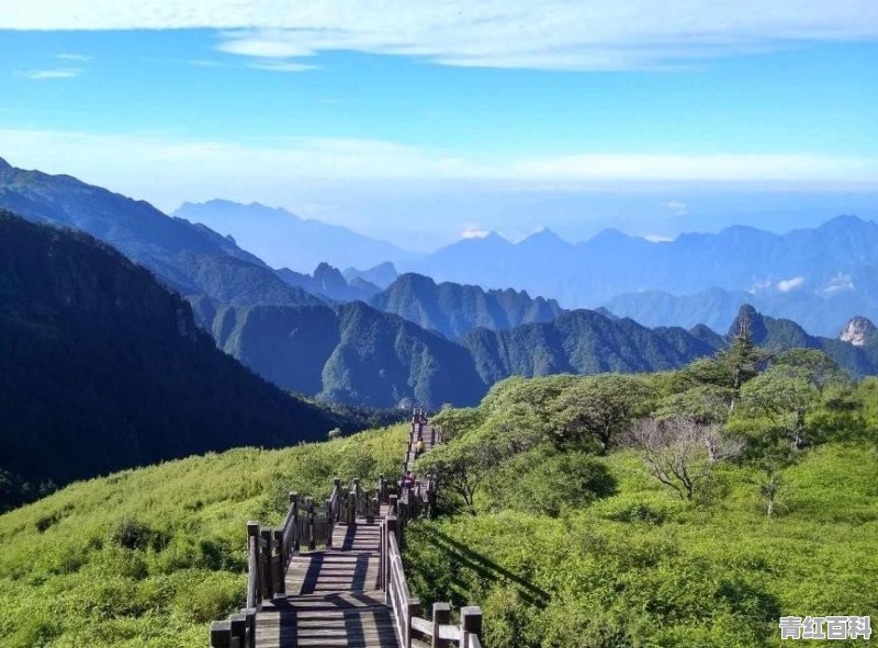 你认为中国新能源汽车的前景怎么样？方向正确吗
