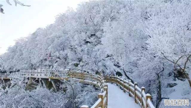 云台山山顶冷嘛
