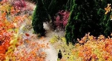 嶂石岩旅游攻略一日游
