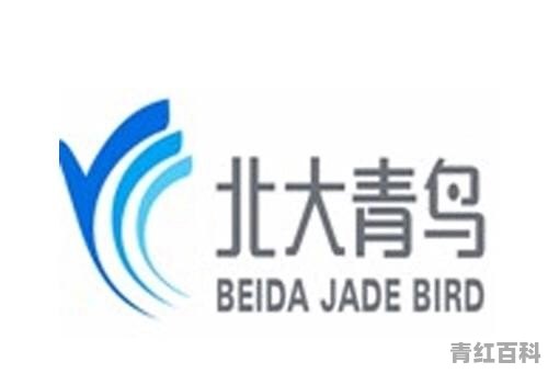 自学电脑从哪开始学买什么书