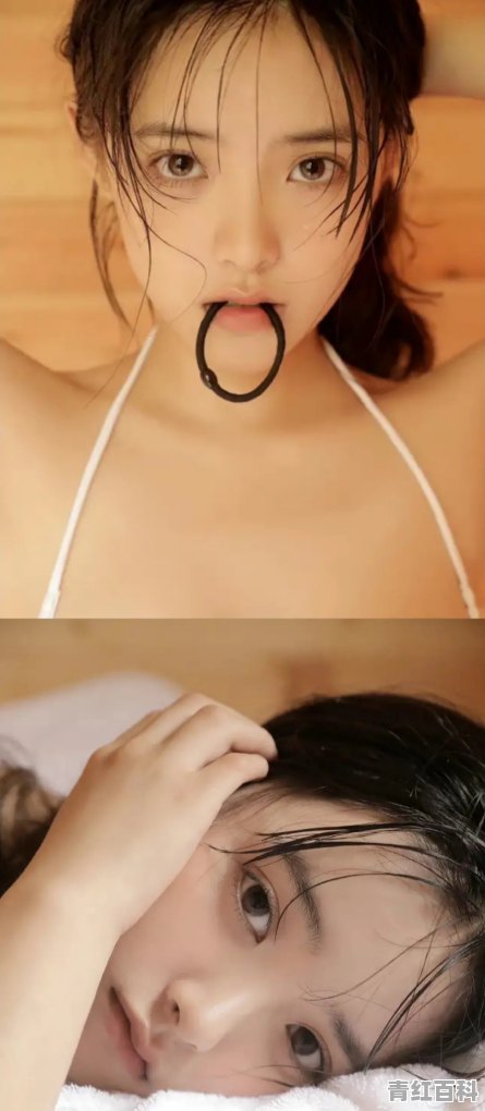 什么手机价格便宜，处理器高，能不能介绍一款
