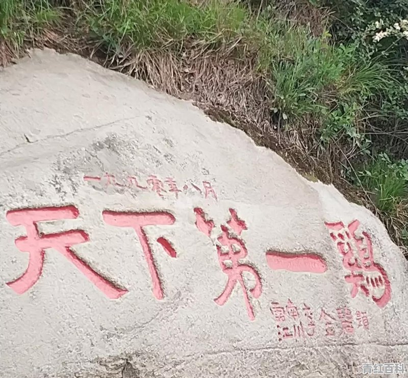 信阳鸡公山旅游攻略详细内容