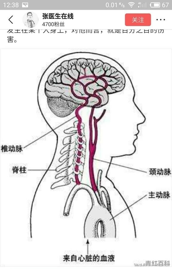 老人感冒头痛应去挂哪个科